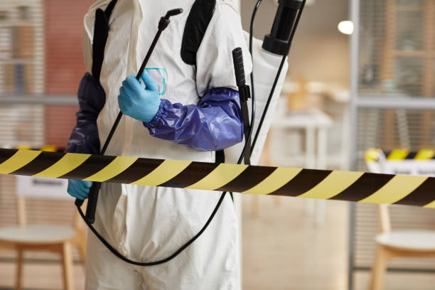 Professional Hoarding Cleanup technician working in Kerrville, TX